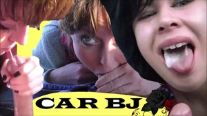 Swallow in car alongside prostitute