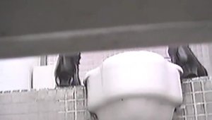 Sex together with very hawt amateur